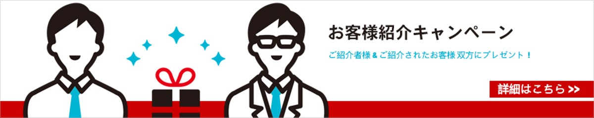 customer introduction campaign