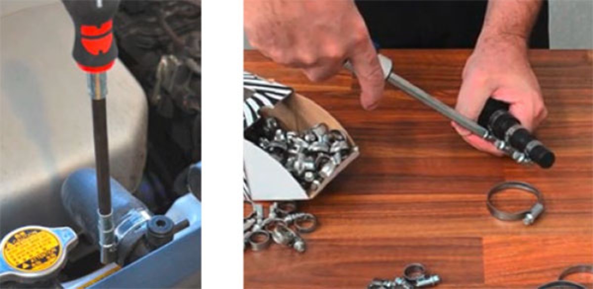 ゼブラホースバンド