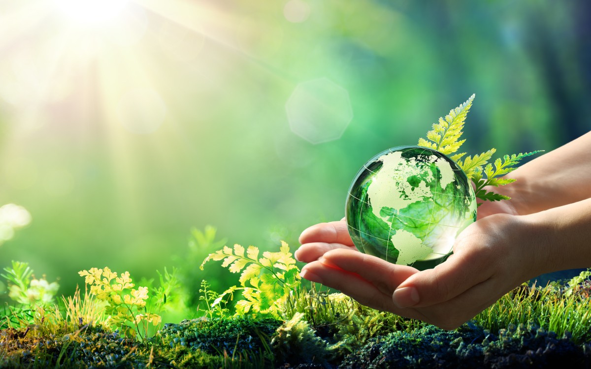 Environment